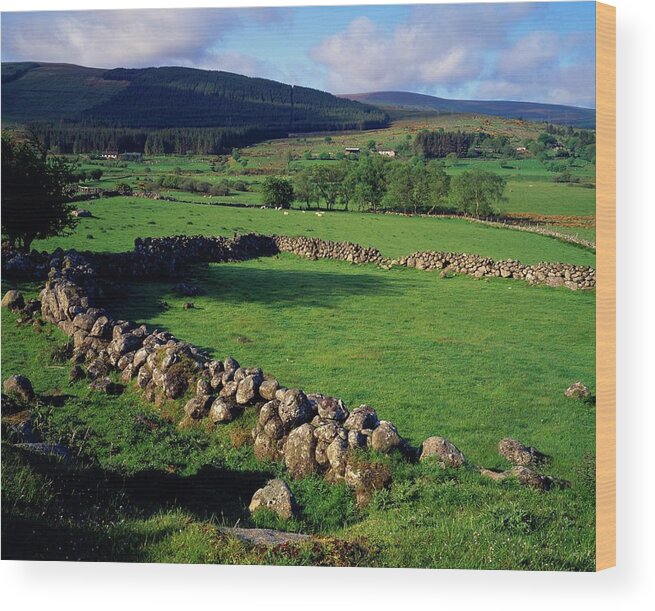 Scenics Wood Print featuring the photograph Irish Landscape With Stone Walls And by Design Pics