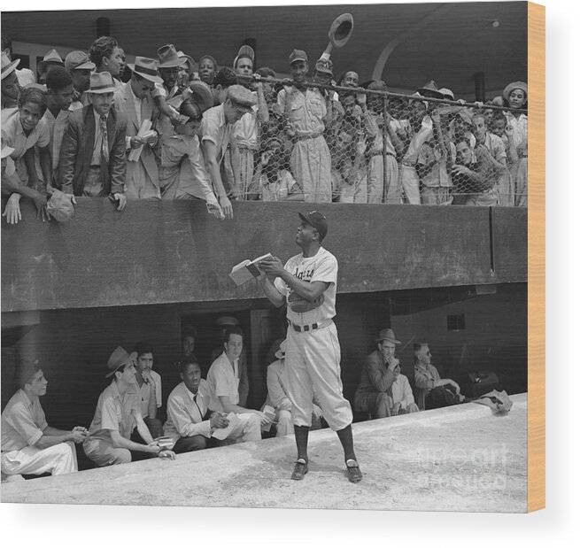 Santo Domingo Wood Print featuring the photograph Jackie Robinson Signing Autographs by Bettmann