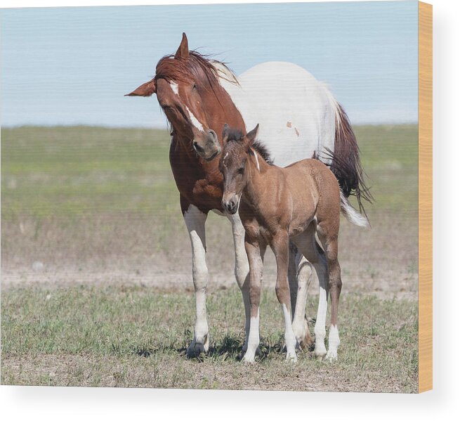Wild Horses Wood Print featuring the photograph Listen to your mom by Mary Hone