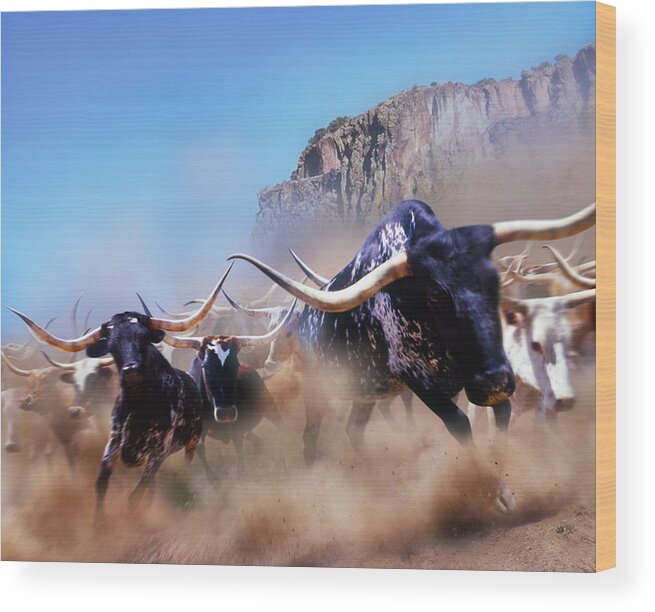 Animal Themes Wood Print featuring the photograph Longhorn Cattle Running, California by John Lund