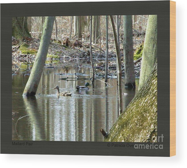Duck Wood Print featuring the photograph Mallard Pair by Patricia Overmoyer