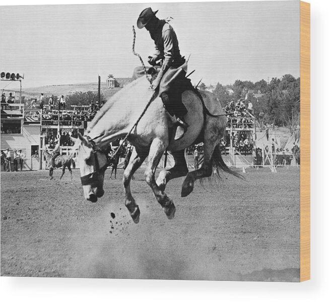 Horse Wood Print featuring the photograph Man Riding Bucking Horse In Rodeo by Stockbyte