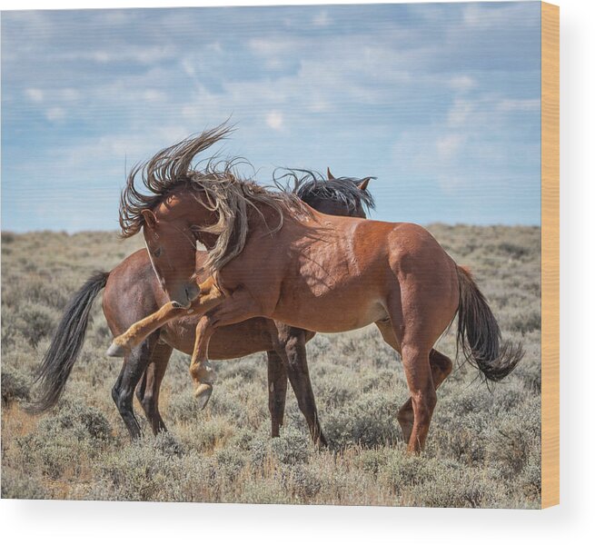 Wild Horses Wood Print featuring the photograph Mane for days by Mary Hone