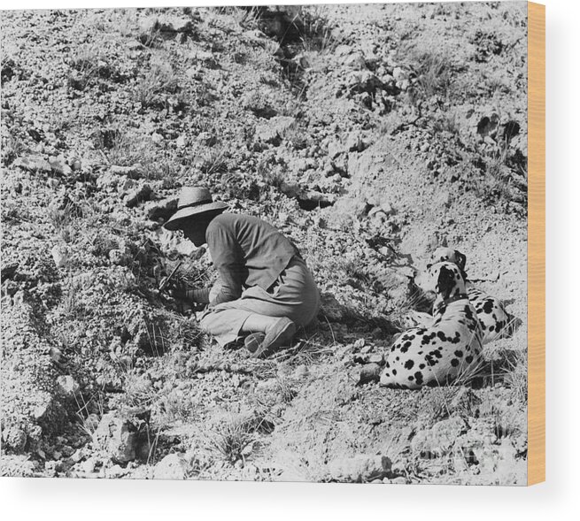 Working Wood Print featuring the photograph Mary Leakey Excavating by Bettmann