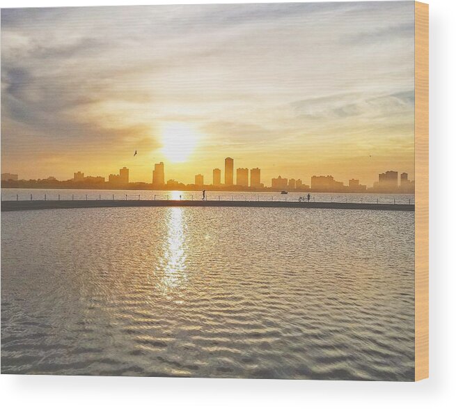 Landscape Chicago Montrose Uptown Edgewater Wood Print featuring the photograph Montrose Chicago Sunset by Todd Janousek
