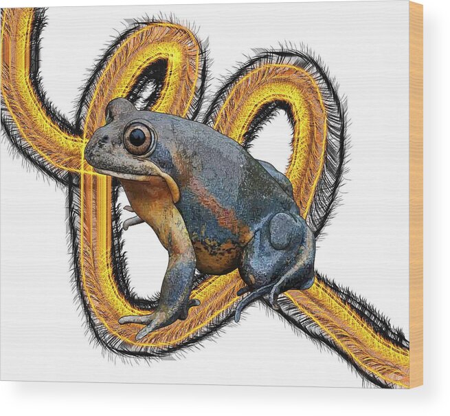 Portrait Wood Print featuring the drawing N is for Northern Banjo Frog by Joan Stratton
