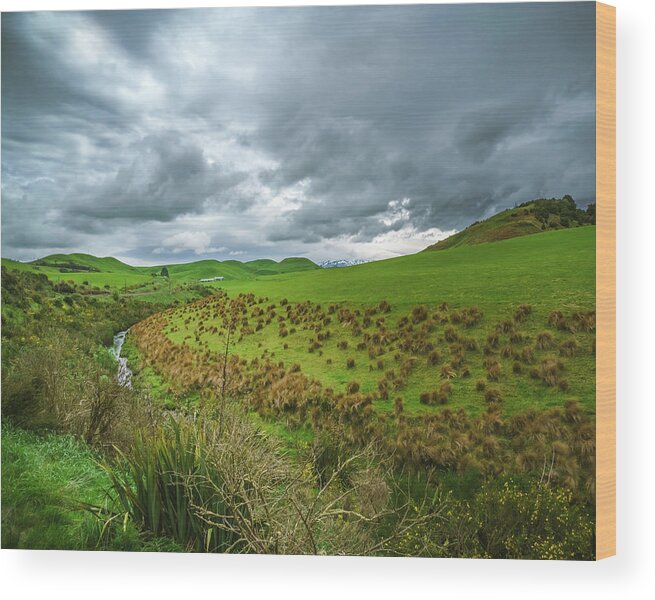 New Zealand Wood Print featuring the photograph New Zealand Countryside by Nisah Cheatham