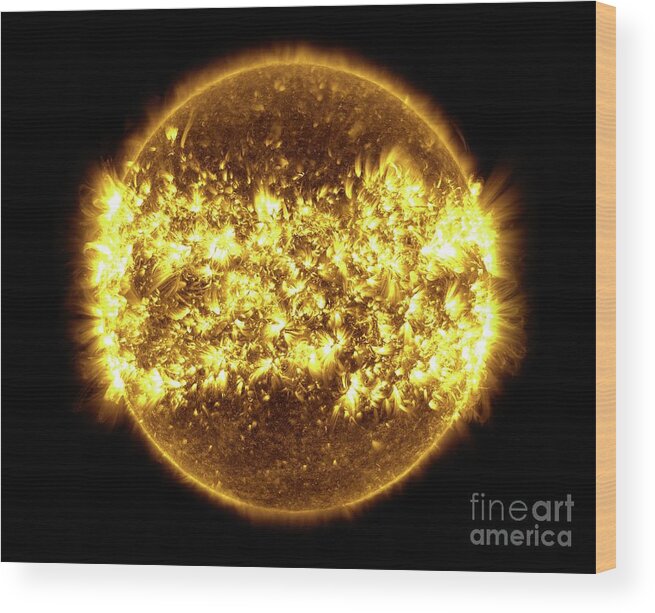 Sun Wood Print featuring the photograph One Year Of Solar Activity by Nasa's Goddard Space Flight Center/sdo/s. Wiessinger/science Photo Library