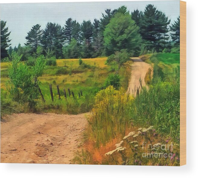 Country Road Wood Print featuring the photograph Out The Back Road by Carol Randall