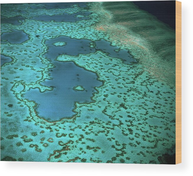 Shadow Wood Print featuring the photograph Overhead Of Heart Reef, Great Barrier by Richard I'anson
