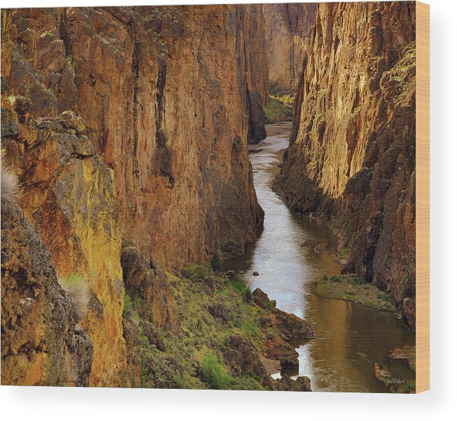 Idaho Scenics Wood Print featuring the photograph Owyhee River by Leland D Howard