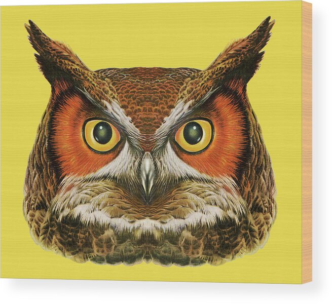 Animal Wood Print featuring the drawing Owl Head by CSA Images