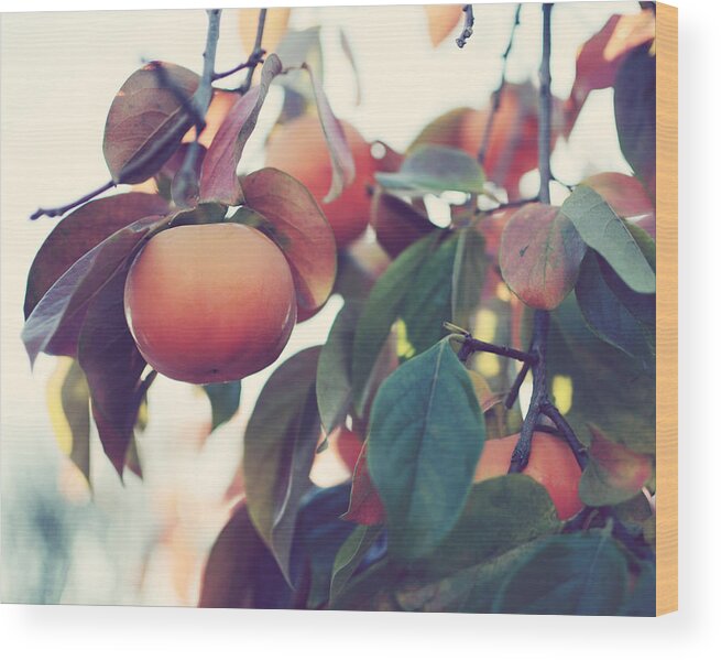 Persimmon Tree Wood Print featuring the photograph Persimmon Tree by Lupen Grainne