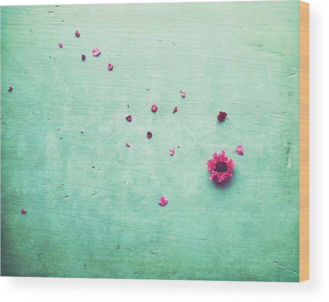 Petals Wood Print featuring the photograph Petals by Lupen Grainne