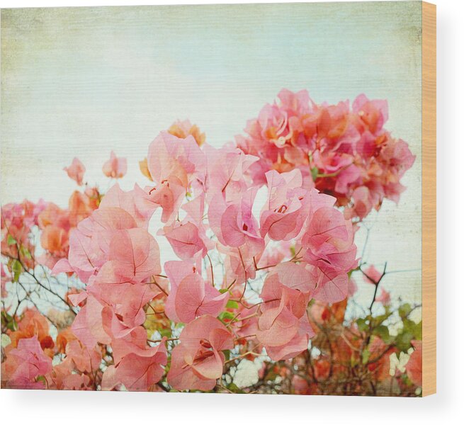 Coral Pink Wood Print featuring the photograph Pink Chiffon by Lupen Grainne