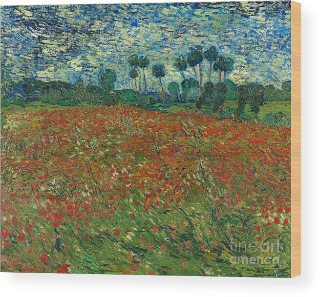 Oil Painting Wood Print featuring the drawing Poppy Field, 1890. Artist Gogh by Heritage Images