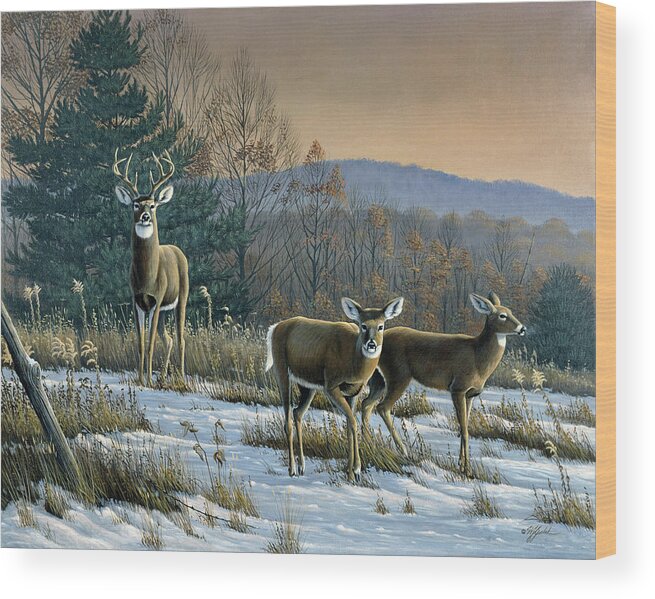 White Tail Deer In A Field At Sunset Wood Print featuring the painting Prime Time - Whitetail Deer by Wilhelm Goebel