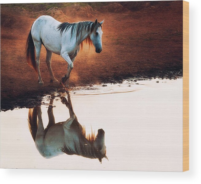 Eguine Wood Print featuring the photograph Red Rock Reflection by Ron McGinnis