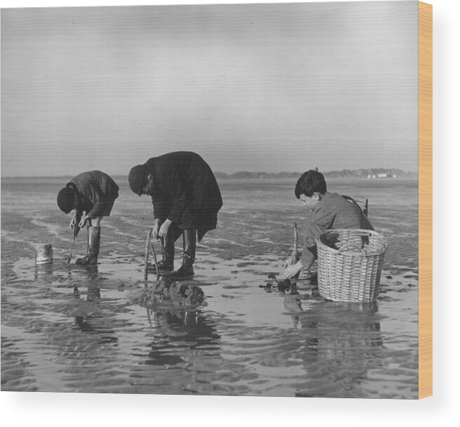 Child Wood Print featuring the photograph Sand Fishing by Fox Photos