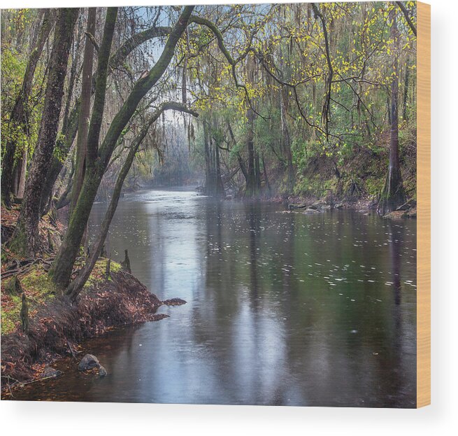 00544896 Wood Print featuring the photograph Santa Fe River, O'leno State Park, Florida by Tim Fitzharris