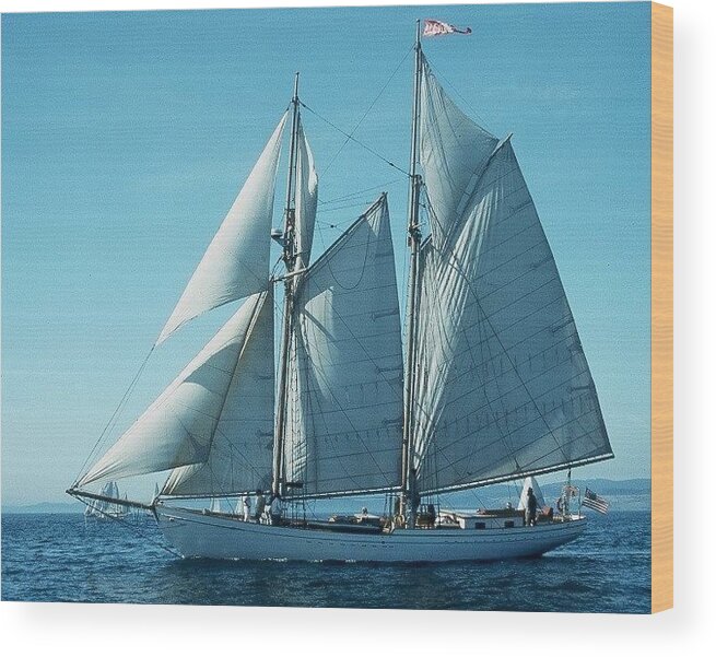 Schooner Wood Print featuring the photograph Schooner 'Alcyone' by Fred Bailey