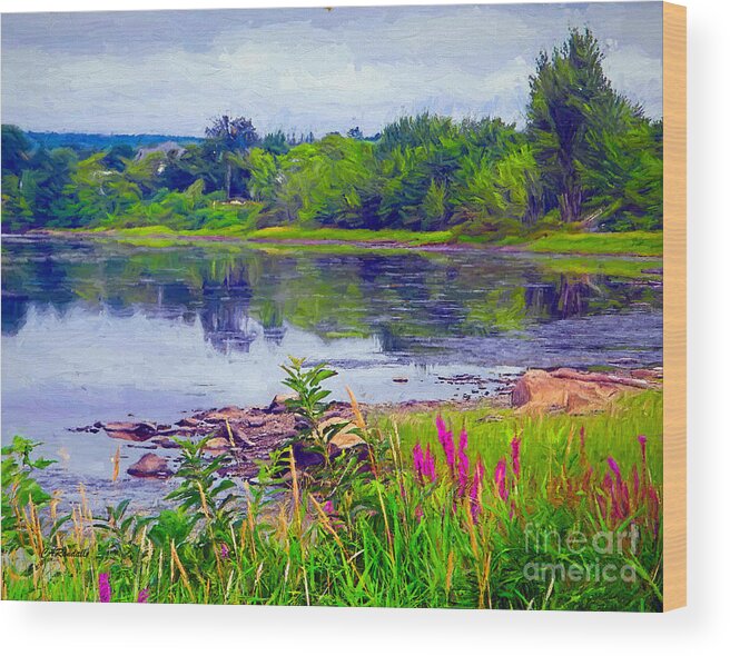 Water Wood Print featuring the photograph Serenity Cove by Carol Randall