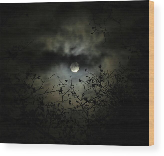 Night Sky Wood Print featuring the photograph Shadow Moon by Linda Stern