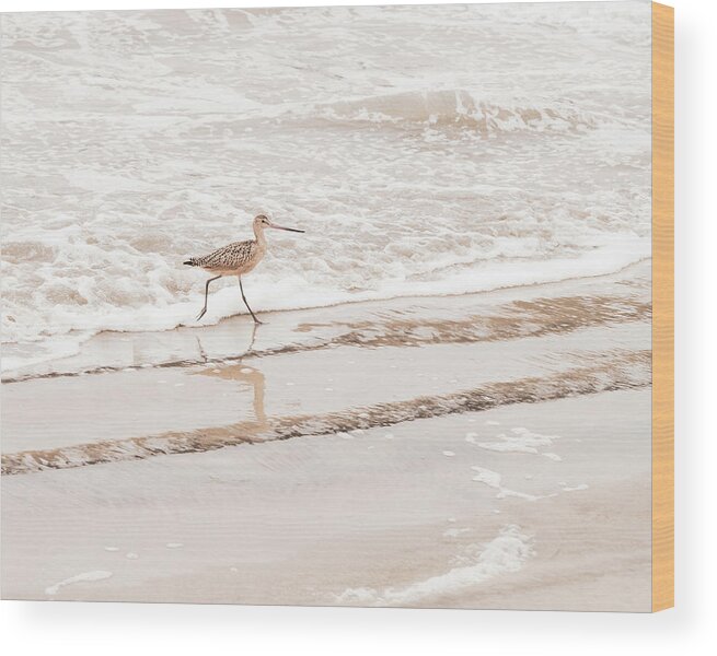 Animals Wood Print featuring the photograph Landscape Photography - Beach Scene #1 by Amelia Pearn