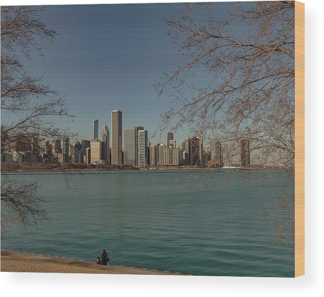 Shedd Aquarium Wood Print featuring the photograph Sitting on a Summer Day by Laura Hedien