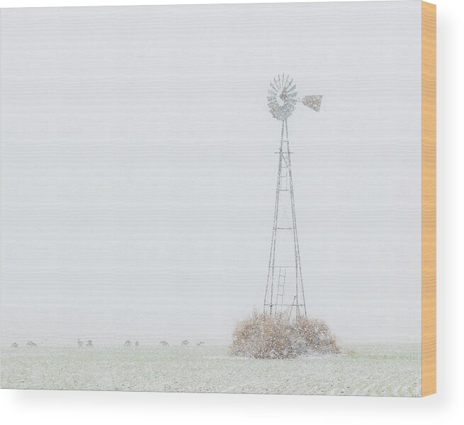 Kansas Wood Print featuring the photograph Snow and Windmill 02 by Rob Graham