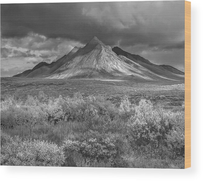 Disk1215 Wood Print featuring the photograph Snow Dusted Ogilvie Mountains Yukon by Tim Fitzharris