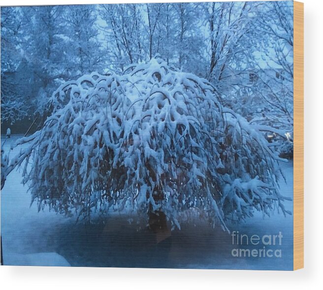 Tree Wood Print featuring the photograph Spring Snow by Kate Conaboy