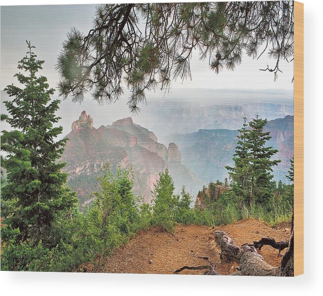 Arizona Wood Print featuring the photograph Summer Rain by Images Of David Costa
