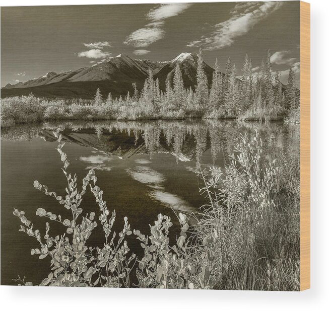 Disk1215 Wood Print featuring the photograph Sundance Range And Vermilion Lakes by Tim Fitzharris