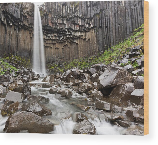 Grass Wood Print featuring the photograph Svartifoss Waterfall Surrounded By by Esen Tunar Photography