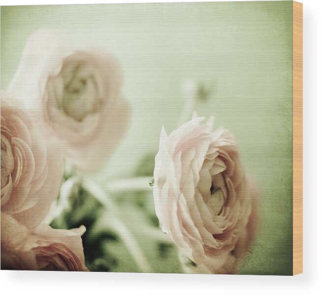 Shabby Chic Wood Print featuring the photograph Sweet Nothings by Lupen Grainne