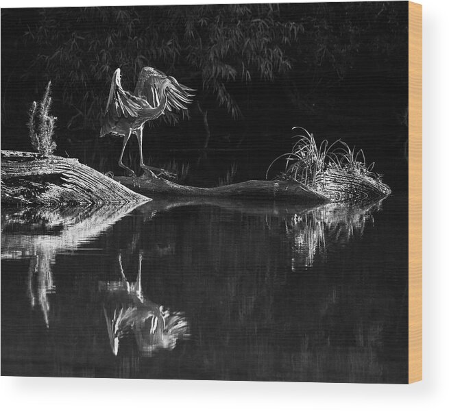 Harris Neck Wood Print featuring the photograph The Dance by Ray Silva