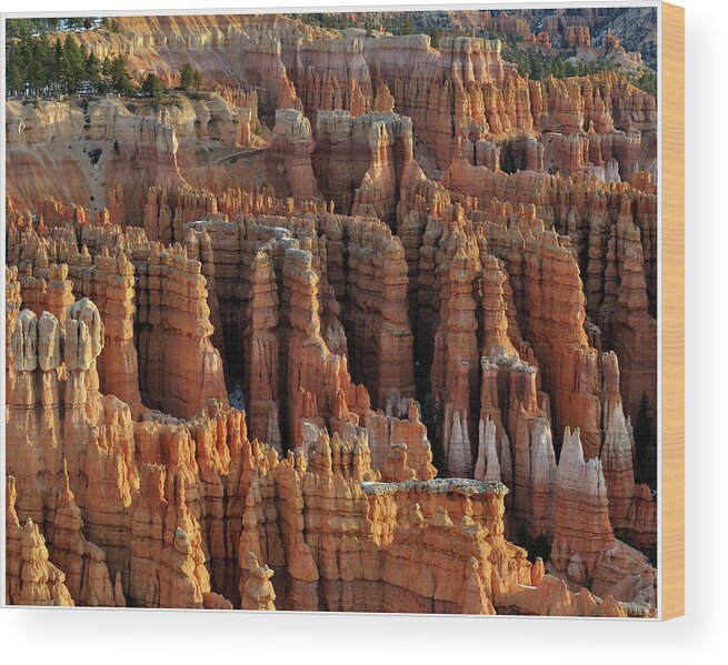 Extreme Terrain Wood Print featuring the photograph Those Hoodoos. Bryce Canyon by John Rav