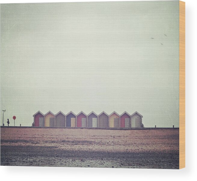 Beach Hut Wood Print featuring the photograph Three Birds And Some Beach Huts by Doug Chinnery