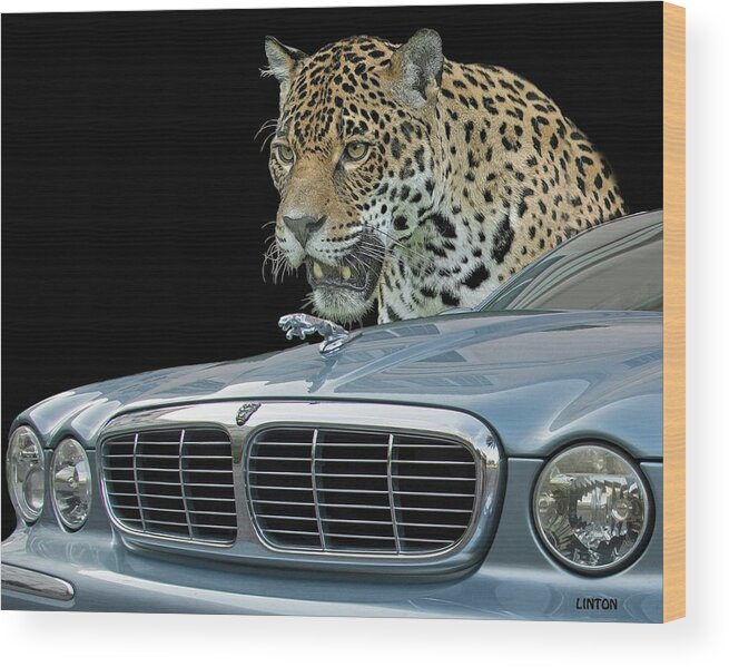 Jaguar Wood Print featuring the photograph Two Jaguars 2 by Larry Linton