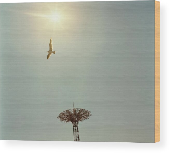 2005 Wood Print featuring the photograph Usa, New York, Coney Island Amusement by David Lees