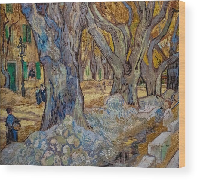 Trees Wood Print featuring the photograph Van Goughs Painting Large Plane Trees by Gina Rodgers