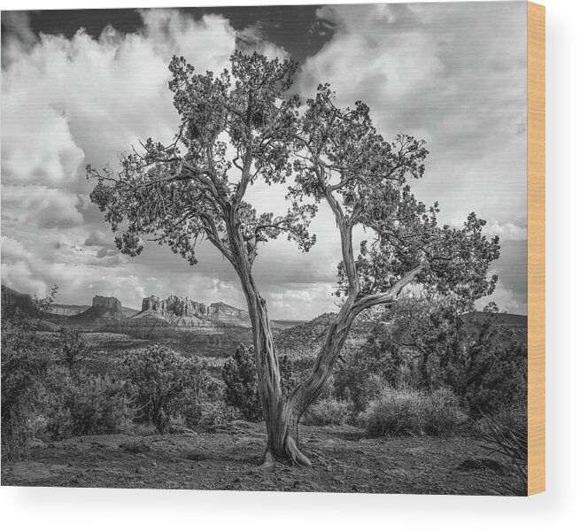 Black And White Wood Print featuring the photograph View From Juniper in Black and White 1302BW by Kenneth Johnson