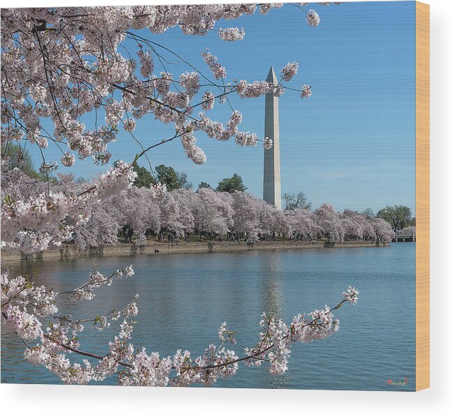 Scenic Wood Print featuring the photograph Washington Monument from the Tidal Basin DS0063 by Gerry Gantt
