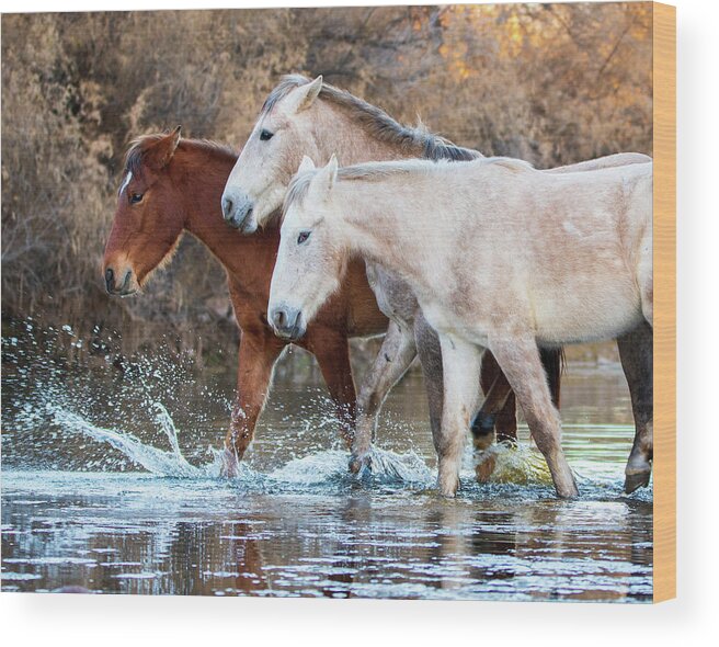 Wild Horses Wood Print featuring the photograph We three by Mary Hone
