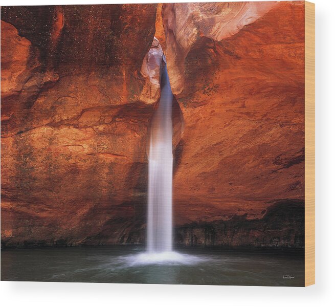 Beautiful Wood Print featuring the photograph White Canyons by Leland D Howard