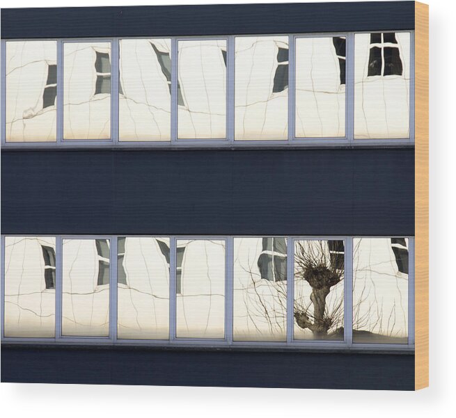 Street Wood Print featuring the photograph Willow In A Window by Jef Flour