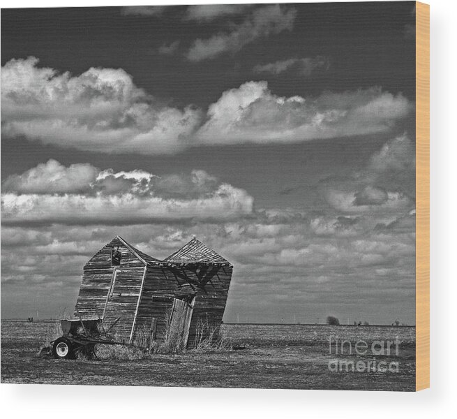 Kansas Wood Print featuring the photograph Windblown by Tiffany Whisler