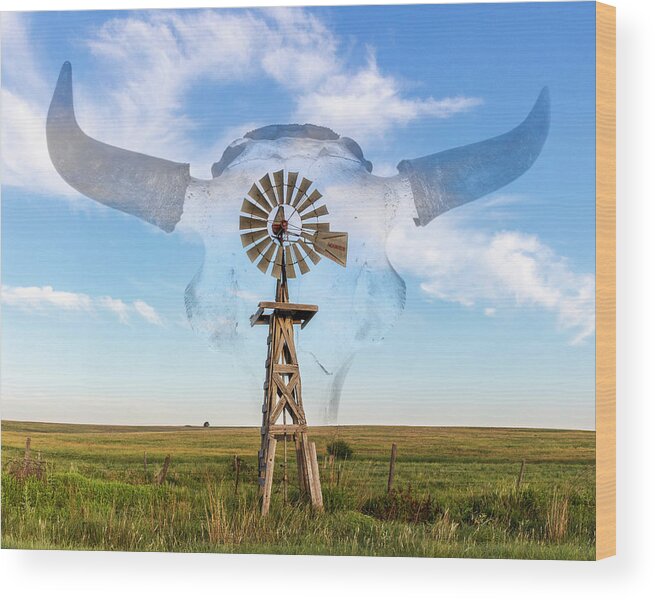 Kansas Wood Print featuring the photograph Windmill and Bison 004 by Rob Graham