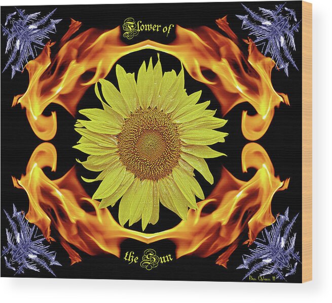 Sunflowers Wood Print featuring the photograph Flower of the Sun #1 by Ben Upham III
